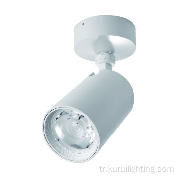 25W Cob Yüzey Kalıp dökümü alüminyum LED Yuvarlak Downlight